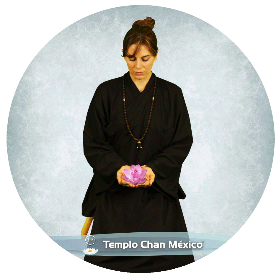 Adquiriendo conocimiento Foto Propiedad del Templo Chan México