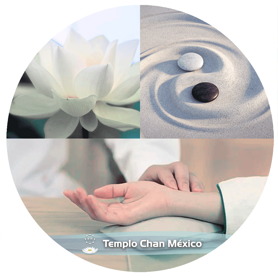 Estilos de Qi Gong Foto Propiedad del Templo Chan México
