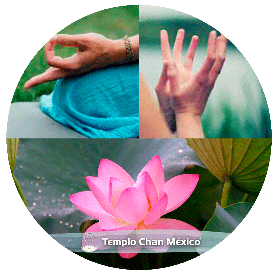 Nuestros estilos de Yoga Foto Propiedad del Templo Chan México