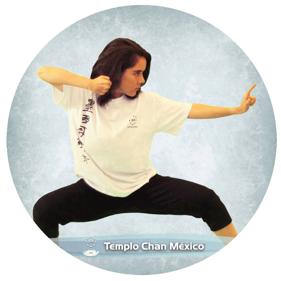 Practicando Baduanjin Foto Propiedad del Templo Chan México