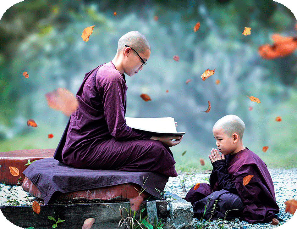 Tipos de enseñanza Templo Chan México